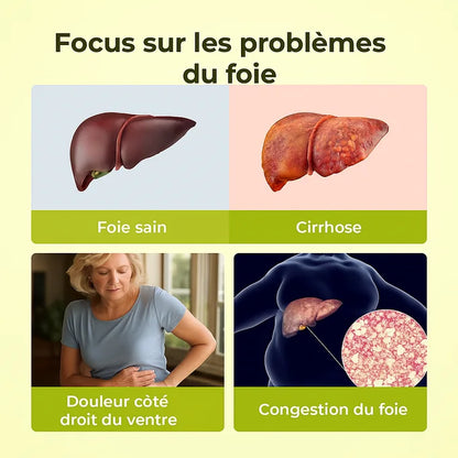 Capsules détoxifiantes au chardon marie - Soutien et nettoyage du foie