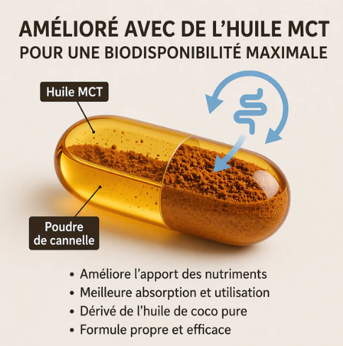 Capsules de Cannelle de Ceylan et Huile MCT- Complément Alimentaire en Gélules