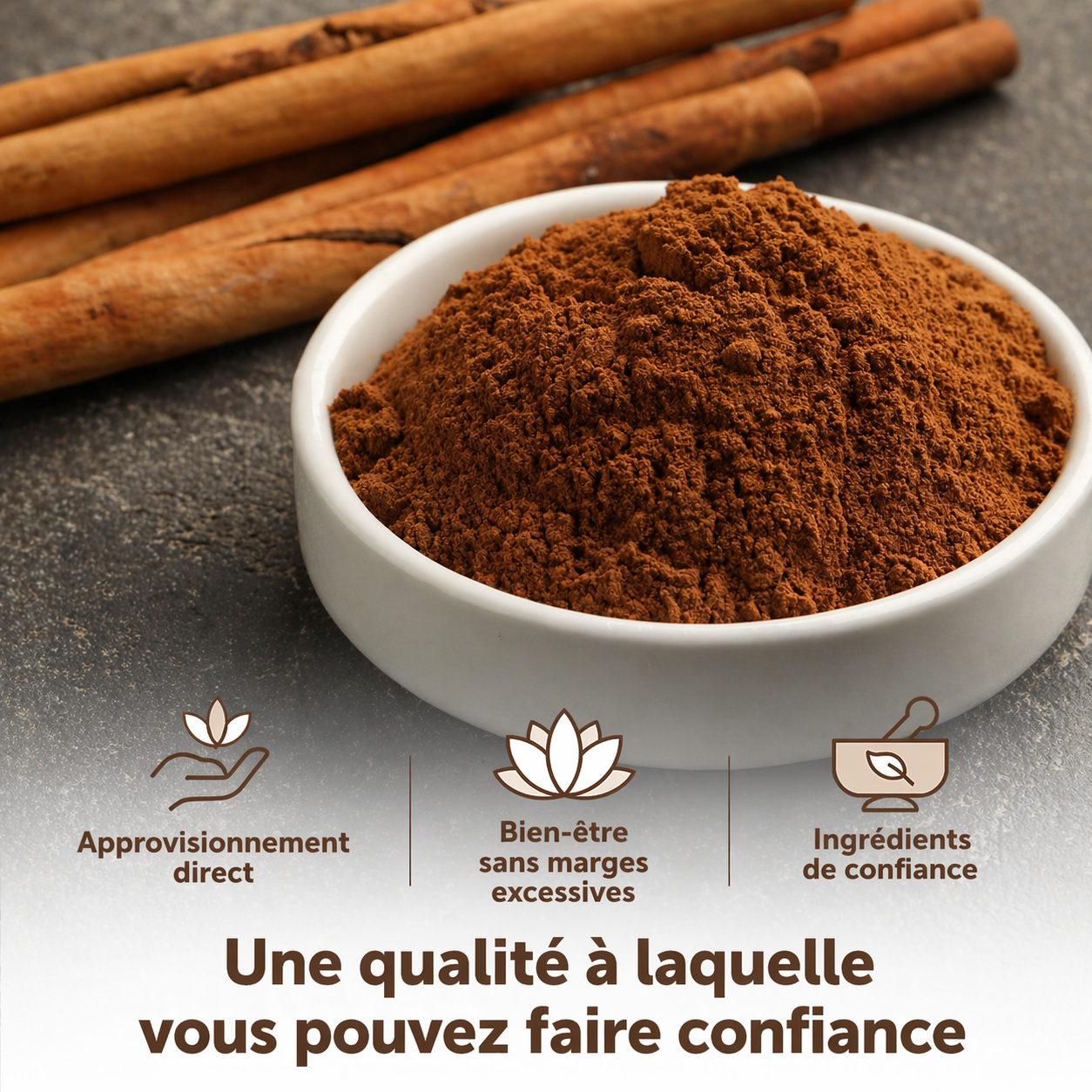 Capsules de Cannelle de Ceylan et Huile MCT- Complément Alimentaire en Gélules